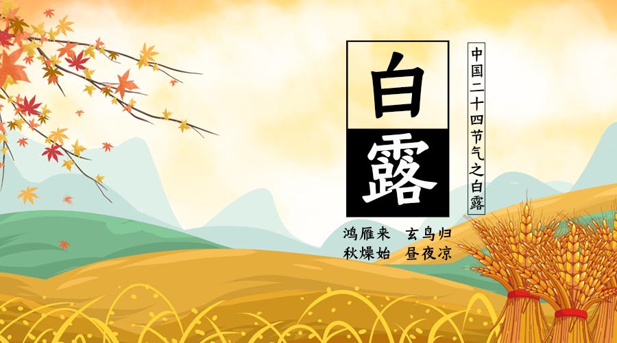 辉煌app